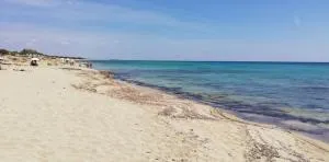 Af campomarino - Torre Ovo