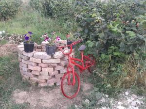 Camping DRINO VALLEY