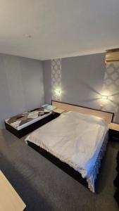 Excelsior Guest house
