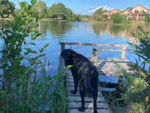Appartements 250 lake waterfront holiday apartment with garden : photos des chambres