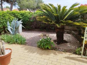 Maisons de vacances Superbe maison avec piscine privee St Cyprien : photos des chambres