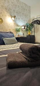 Appartements La Cloche Doree, parking, 3 etoiles, en plein coeur de Fontainebleau : photos des chambres
