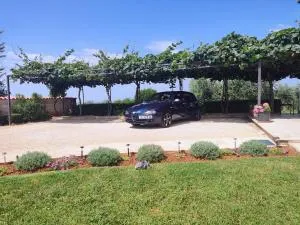 Apartment Licardo - Vošteni