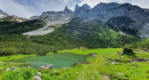 Ferienwohnung Sprung