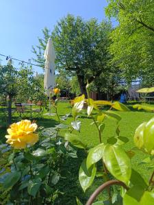 Landgasthof zum Rappen