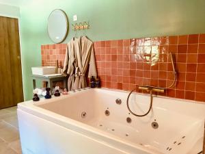 Sejours chez l'habitant Jacuzzi et Vue sur Loire - Maison d'hotes L'Odyssee : photos des chambres