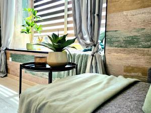 Apartament Słoneczne Okno