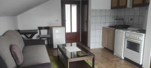 Apartmani za Exit 2024