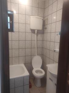 Apartmani za Exit 2024