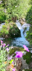 La casa sul fiume