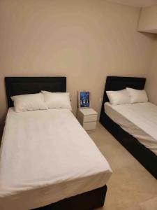 Mangroovy, Red Sea, El gouna