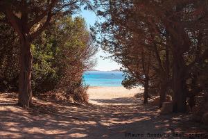 CityLoft Olbia img37