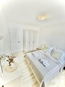 Apartments Katara