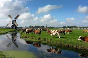 Waterval Wellness-suite met Sauna!