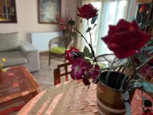 Dimi view home - Nea Michaniona