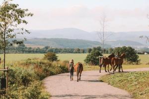 Birkenhof - Ferienhof, Landcafe und Rösterei
