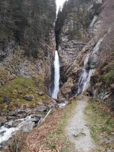 Appartements Le Coquelicot de Luchon : photos des chambres