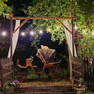 Gniazdo w Felicjanowie