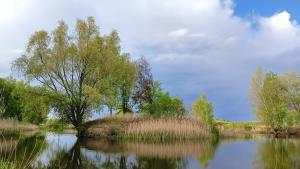 Gniazdo w Felicjanowie