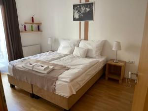 Star of Culture Budapest