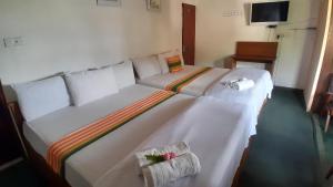Eco Creations Nuwaraeliya