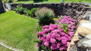 Maisons de vacances Au Grand Bonheur - Gite Padirac - Rocamadour : photos des chambres