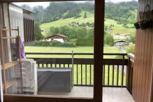 Family studio near the slopes of Praz-sur-Arly - 阿尔利河畔普拉兹