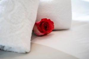 Appartement Hornblick by NV-Appartements