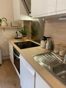 Appartements Superbe T2 dans Nice avec balcon et parking : photos des chambres