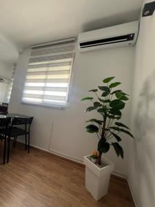 Appartement spacieux & lumineux