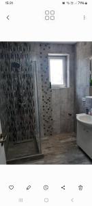 Tudor studio Mamaia Sat