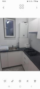 Tudor studio Mamaia Sat