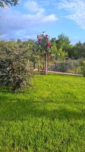 Apartman Gulići 