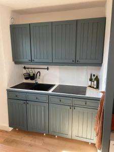 Appartements Cosy studio - vue imprenable sur les montagnes : photos des chambres