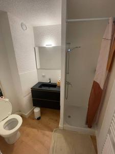 Appartements Cosy studio - vue imprenable sur les montagnes : photos des chambres