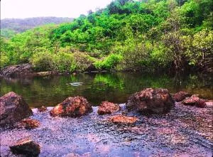 Rohan Homestay By Traviget Hospitality, Dapoli-Konkan - Harnai