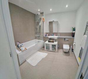 Wembley Stadium Comfort stay Cosy room with a view Concerts, matches and more