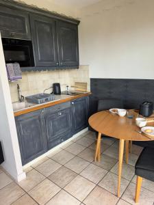Appartements Appartement Le Beach du Lac d-Annecy avec les pieds dans l eau, plage et ponton prive : photos des chambres