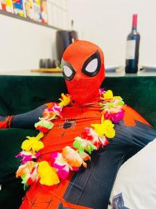 Le repaire des héros 150m plage parking privé - lesvoyagescolorés