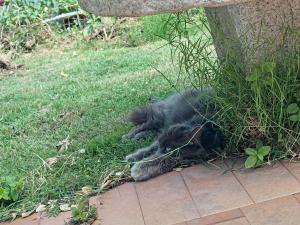 Casa al Mare con Giardino Privato