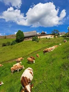 BIO-Peisingerhof - Neuhof