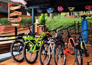 Wayanad Kuruva Isles Jungle Resort