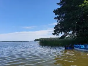 Apartament Karwica Zapach Lasu Naturalne SPA - 科兹泽