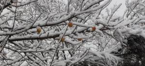 Casa Neneo Bariloche 2