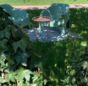 Appartements La Suite Unique - Le jardin sur les Pyrenees- vue panoramique montagne -jardin cloture prive de 100m2-Parking-Linge de lit et serviettes compris- : photos des chambres