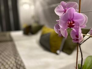 Hotels Brit Hotel Acacias : photos des chambres