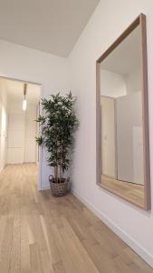 Appartements La Cle de Thierry : photos des chambres