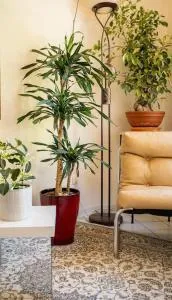 Ruhige Oase bei Frankfurt - 罗德高