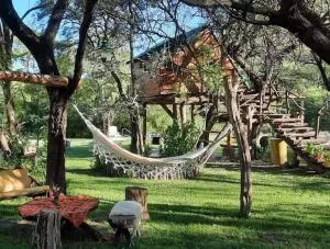 Casitadelarbol - Tapso