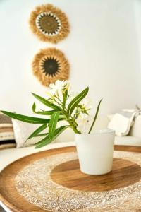 Encantador y Luminoso - Apartamento en Málaga Centro